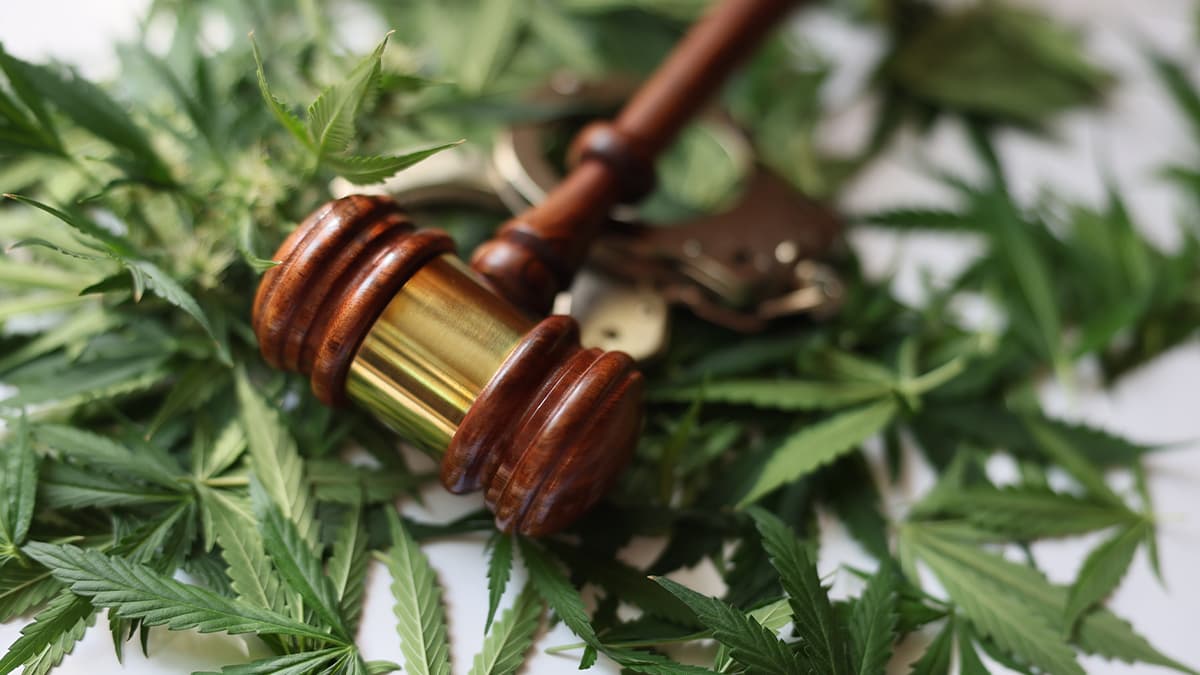 Just a Little Weed – So Why Are You Being Treated Like a Criminal in Wyoming?