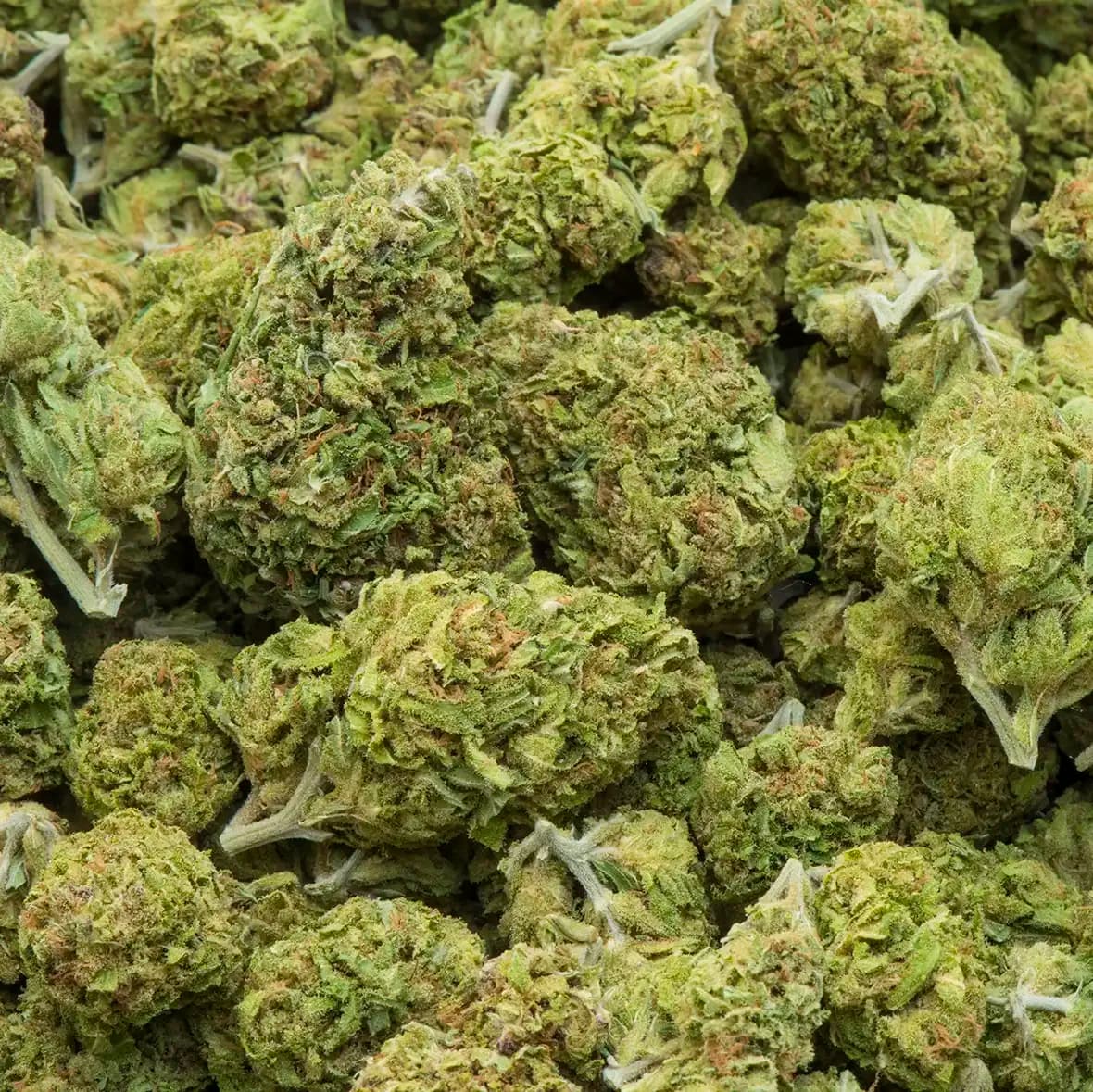 What do we know about cannabis legalisation? - Alcohol and Drug Foundation