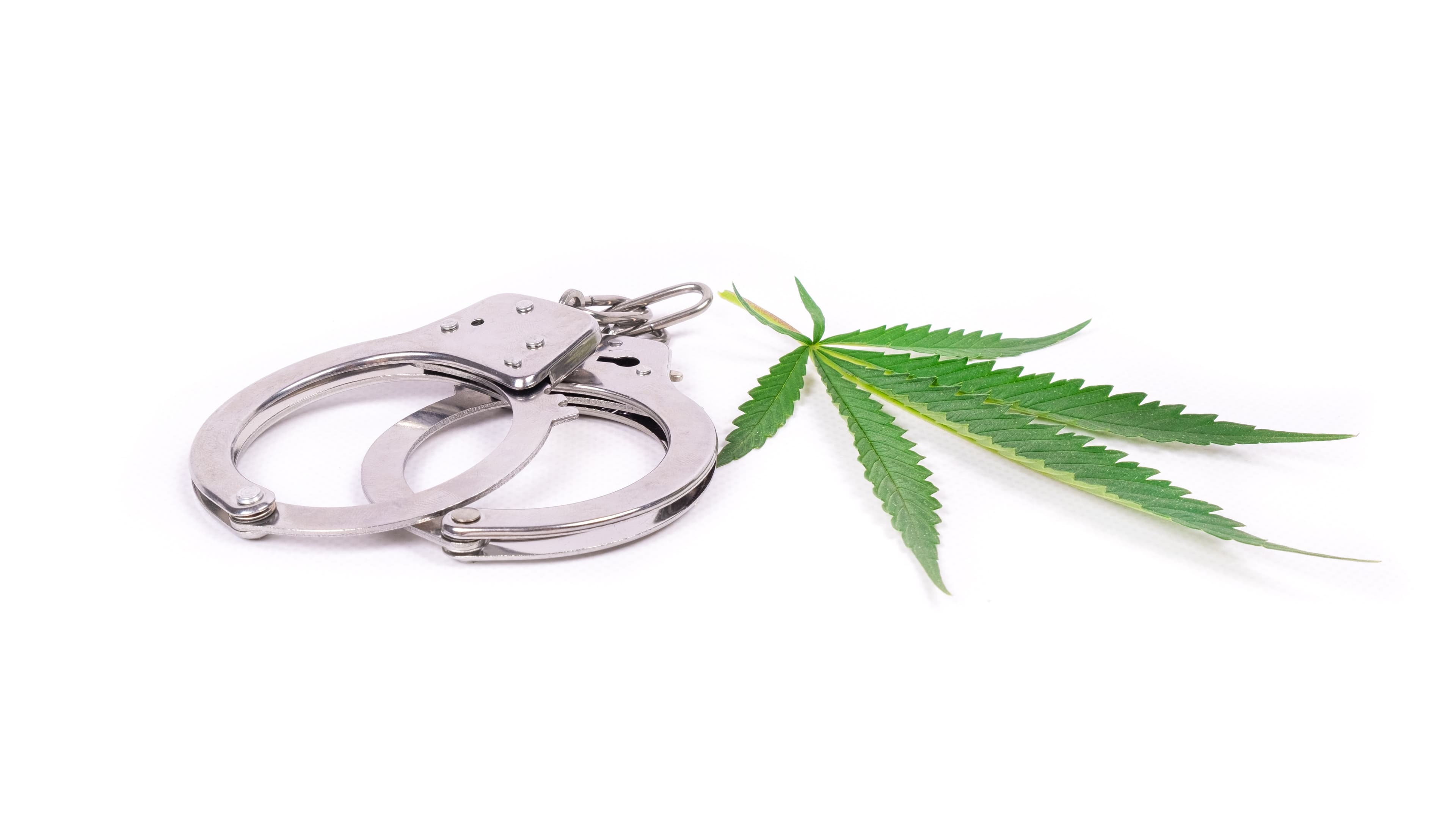 US Attorney for the District of Wyoming Darrin Smith Announces Cannabis Prosecution Changes | Cannabis Science and Technology - Cannabis Industry News, Insights