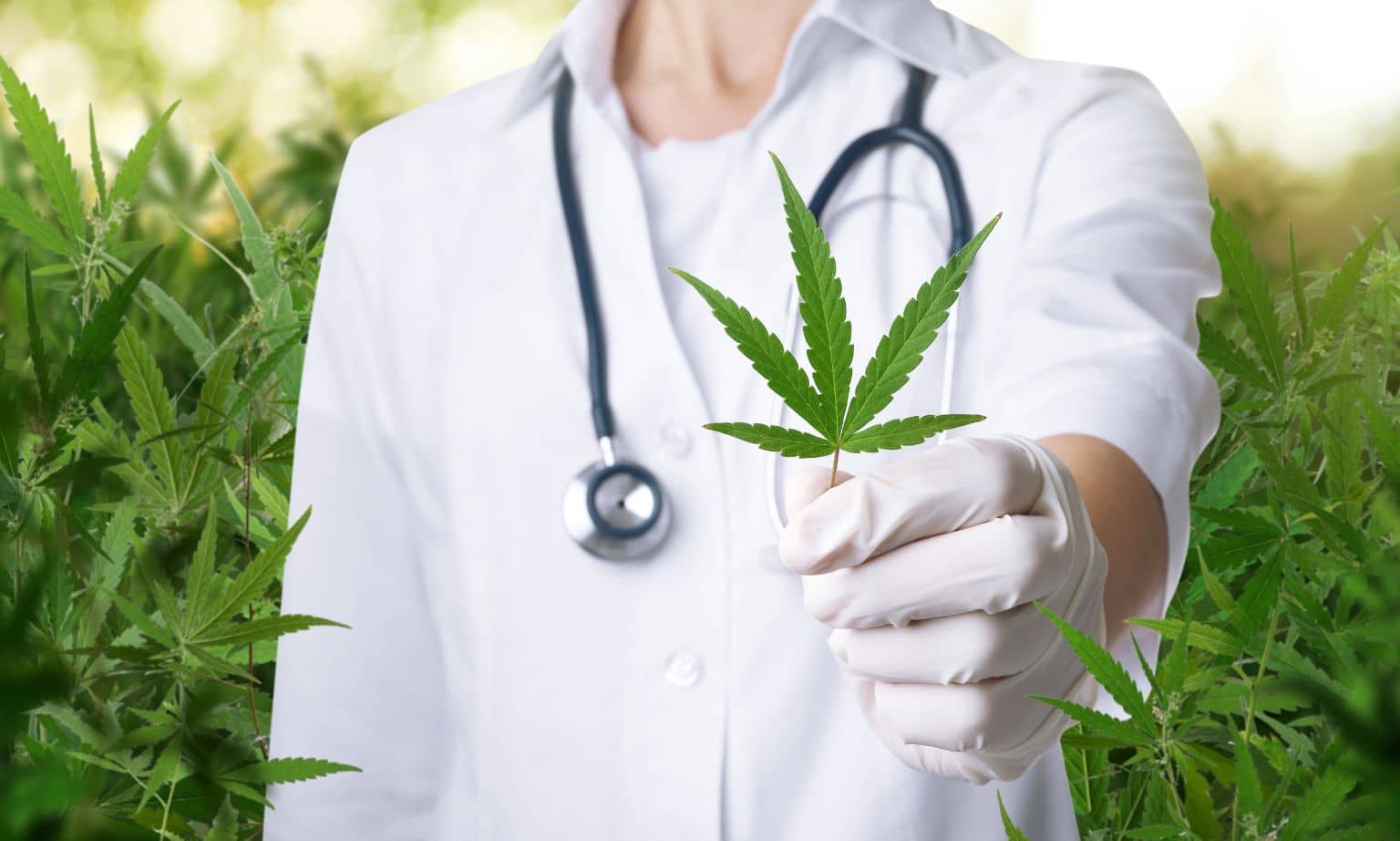 Medical Marijuana Banned On Cruise Ships - Cruise Passenger