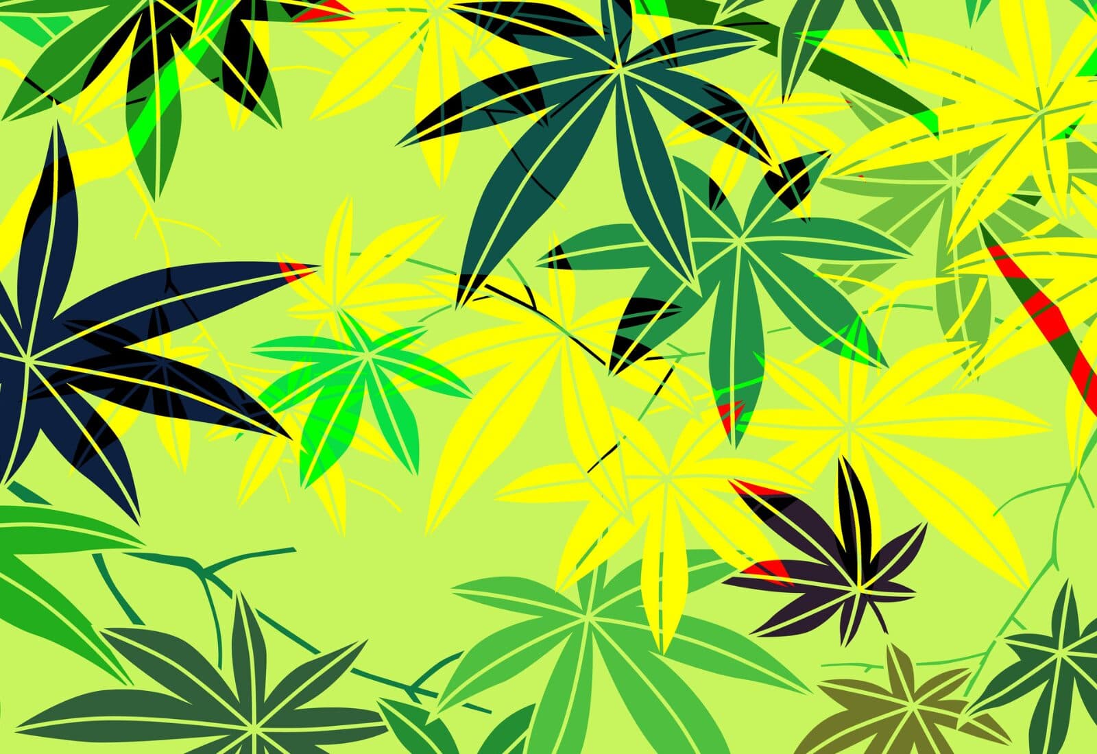 Oregon Cannabis Oversupply in 2025 - Canna Law Blog™