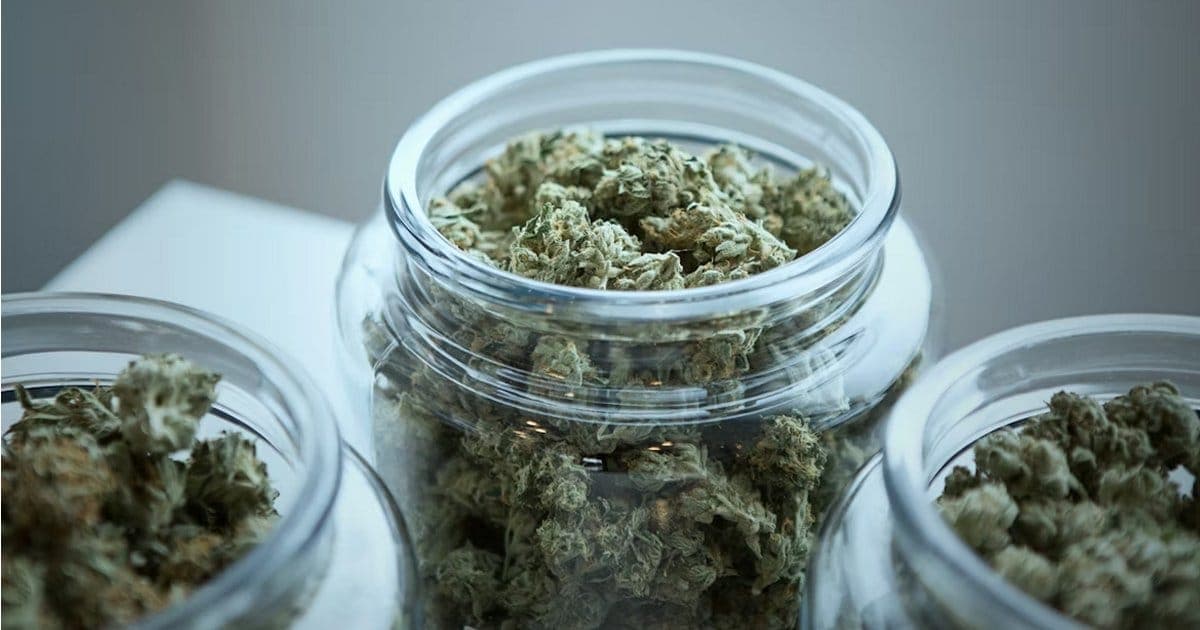 New Jersey Medical Cannabis Program: State Of Play