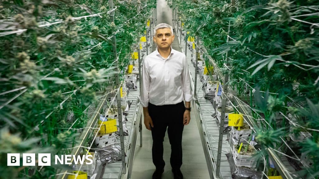 London mayor backs report calling for cannabis decriminalisation