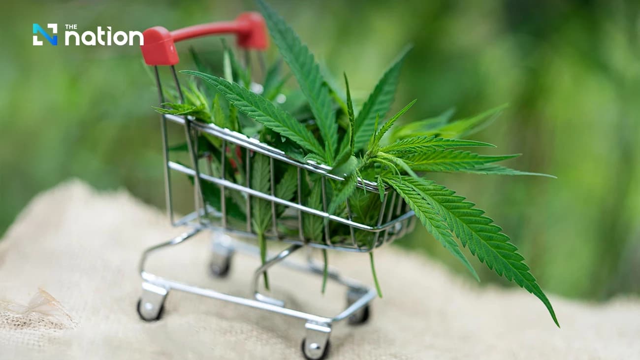 Anti-ganja group demands political parties clearly announce their stand on cannabis