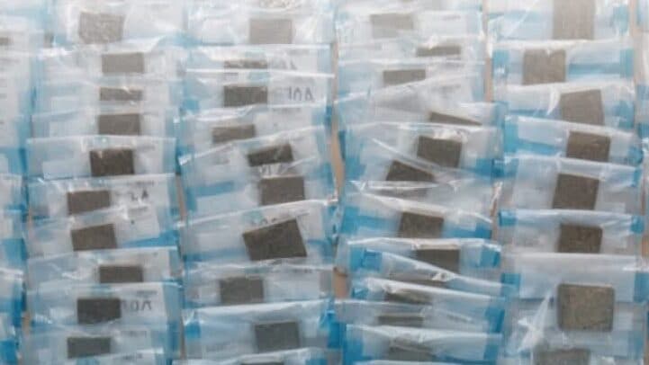 CNB arrests 29-year-old Singaporean woman; more than 7kg of cannabis and other drugs seized - Singapore News