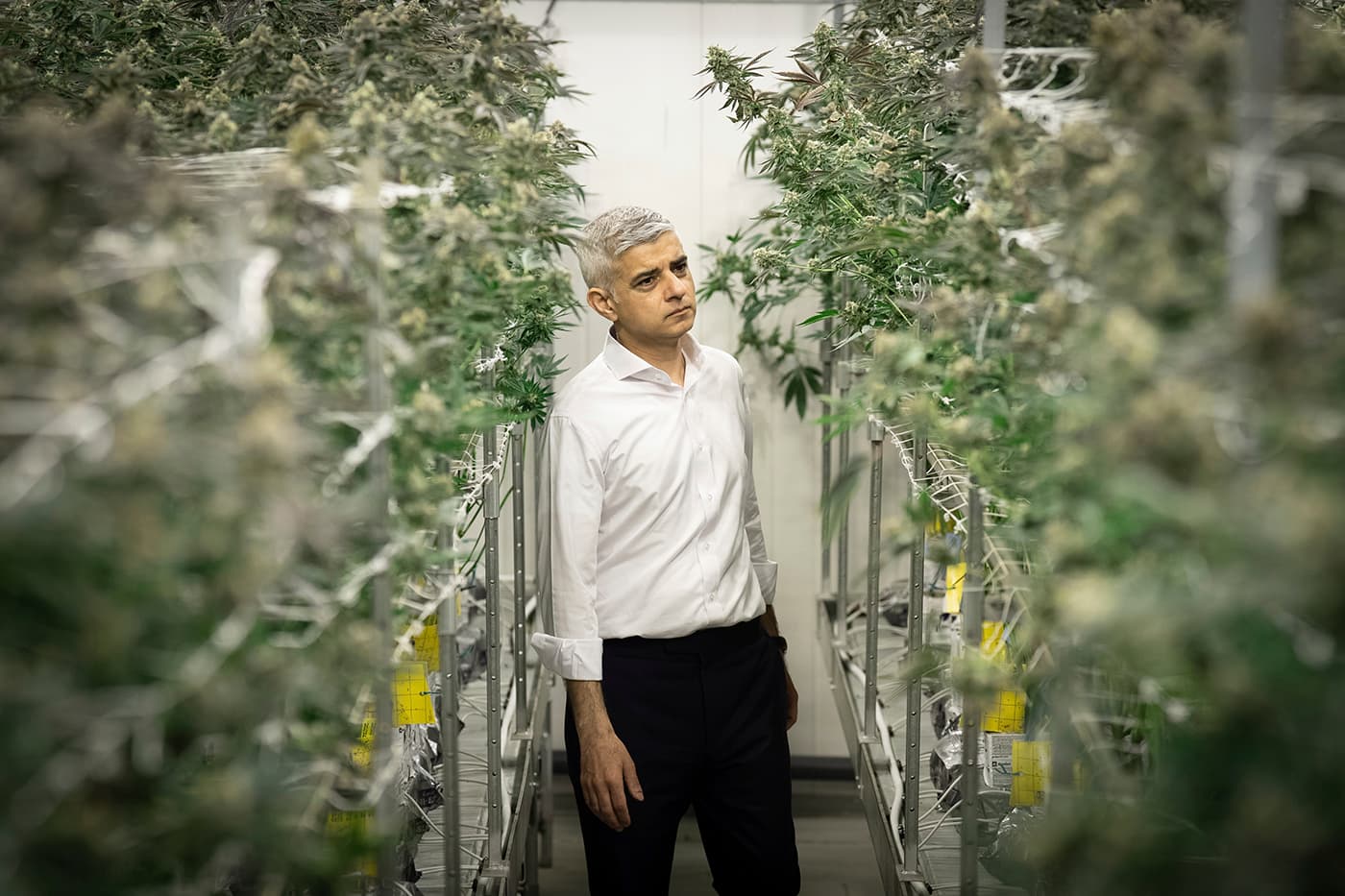 London mayor supports decriminalizing cannabis, but is the US a ‘cautionary tale’ for drug reform?