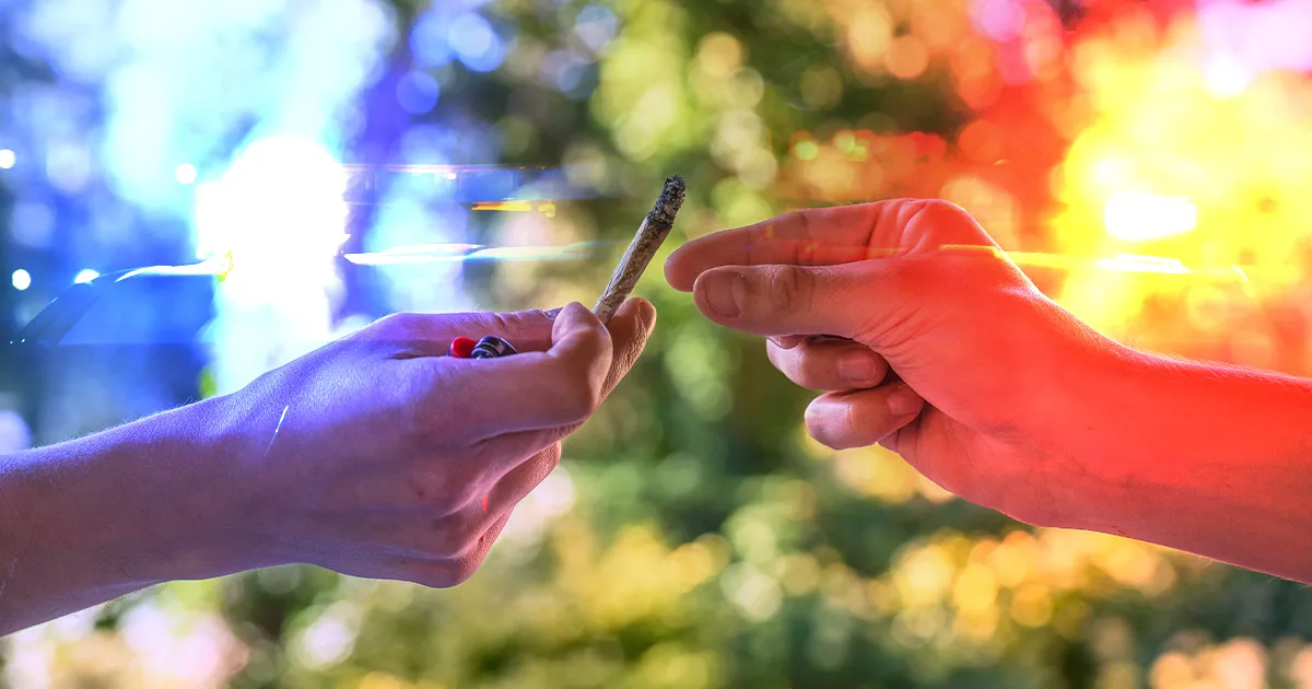 First Weed Charge in Wyoming? Why ‘I Didn’t Know’ Won’t Protect You