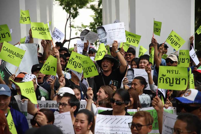 Cannabis activists demand parties clarify stance