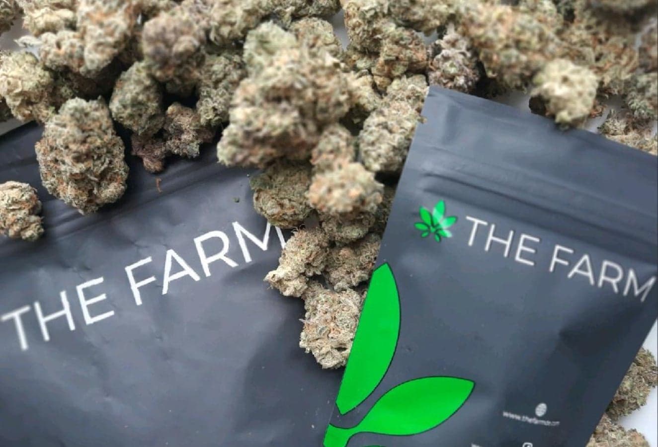 Delaware will launch recreational marijuana market Aug. 1