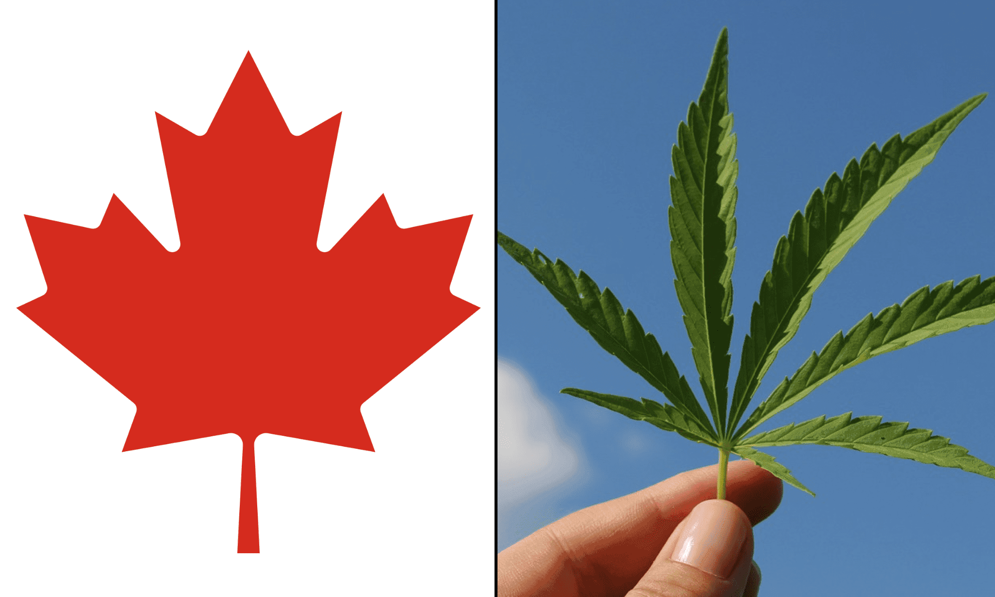 Canadian Support For Marijuana Legalization Is Increasing, New Poll Shows - Marijuana Moment