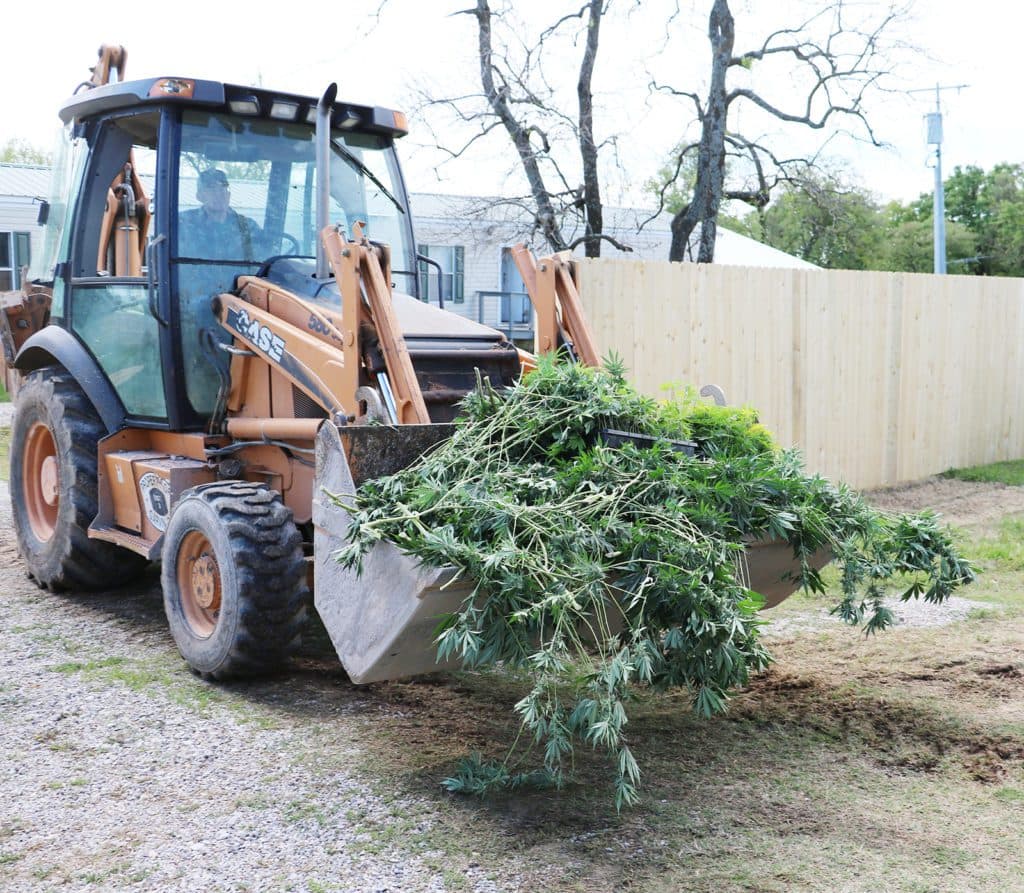 Oklahoma’s marijuana underworld worth over $100 billion, new estimates show