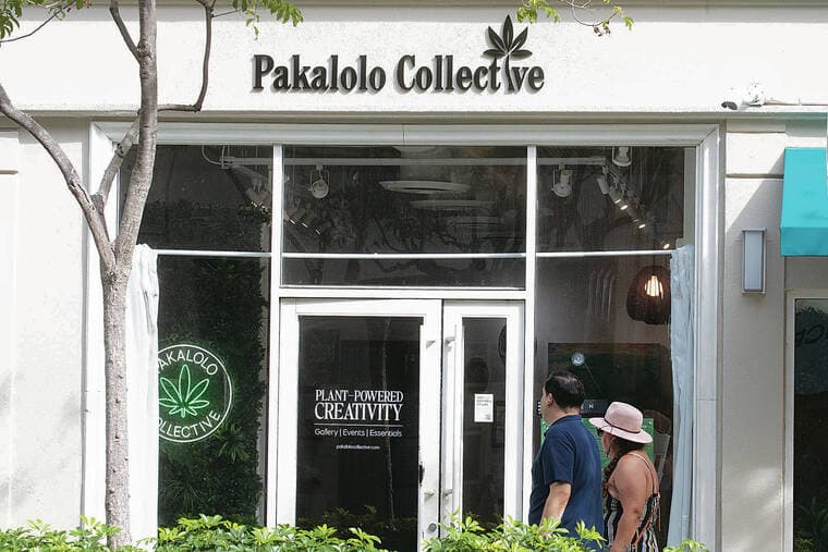 Hawaii debates legalizing recreational cannabis - West Hawaii Today