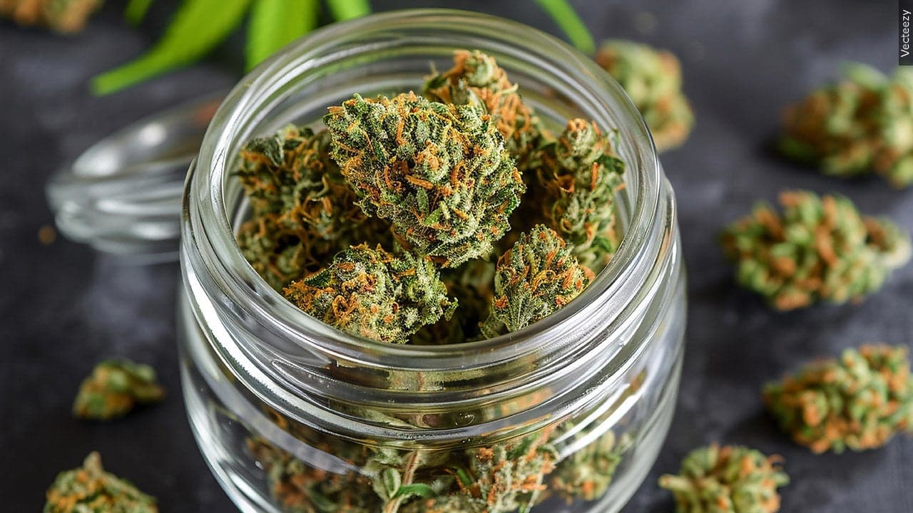 Legal cannabis in New York sees record growth in sales, annual report says