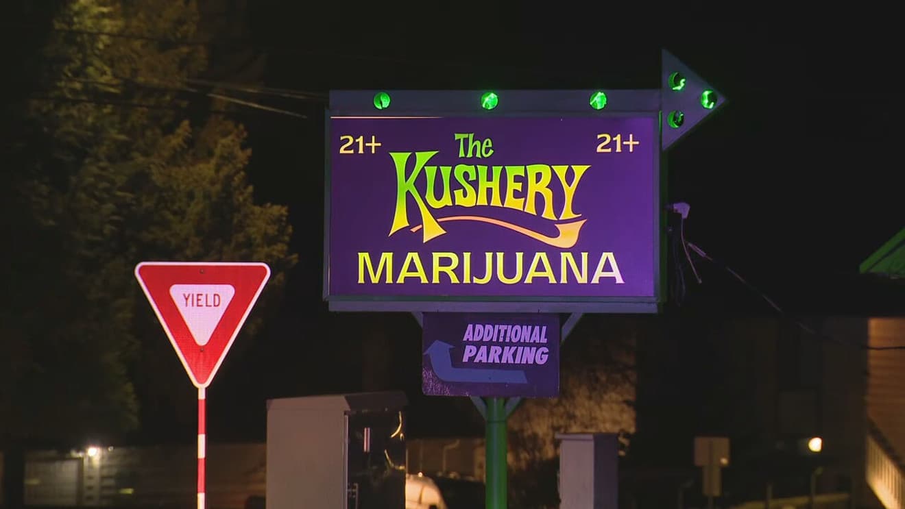 Cannabis sales in Washington fall for 5th year amid oversupply and declining prices