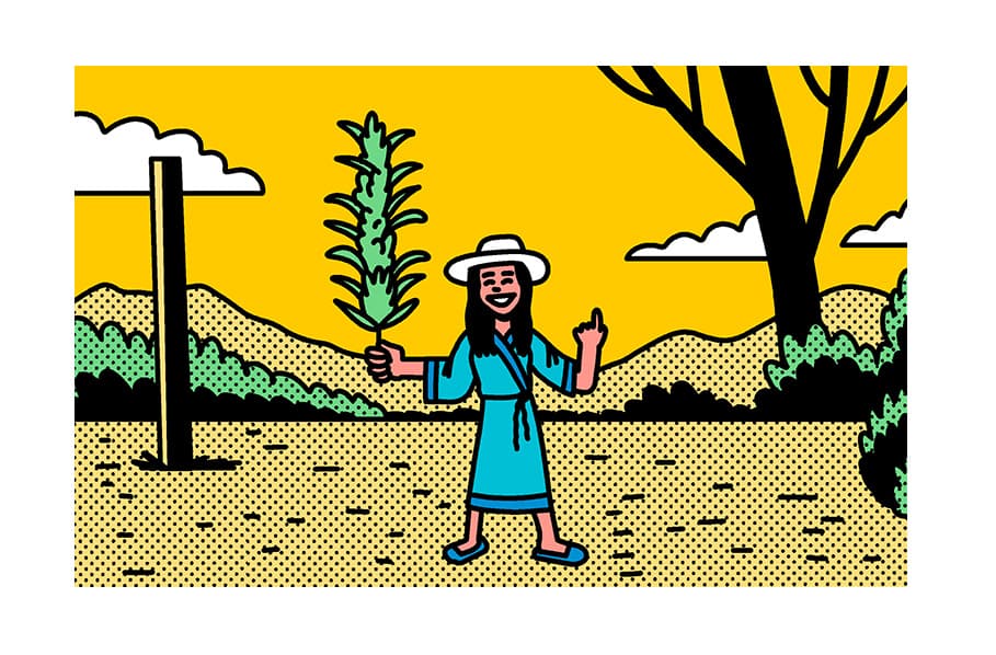 Legalization Nation: Cannabis in Thailand explained | GreenState