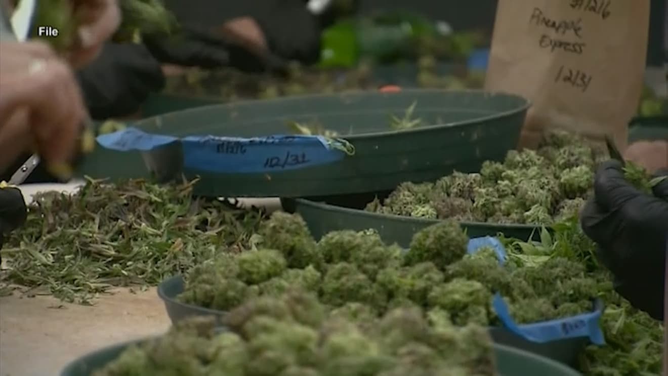 Hazy outlook for marijuana legalization in Indiana