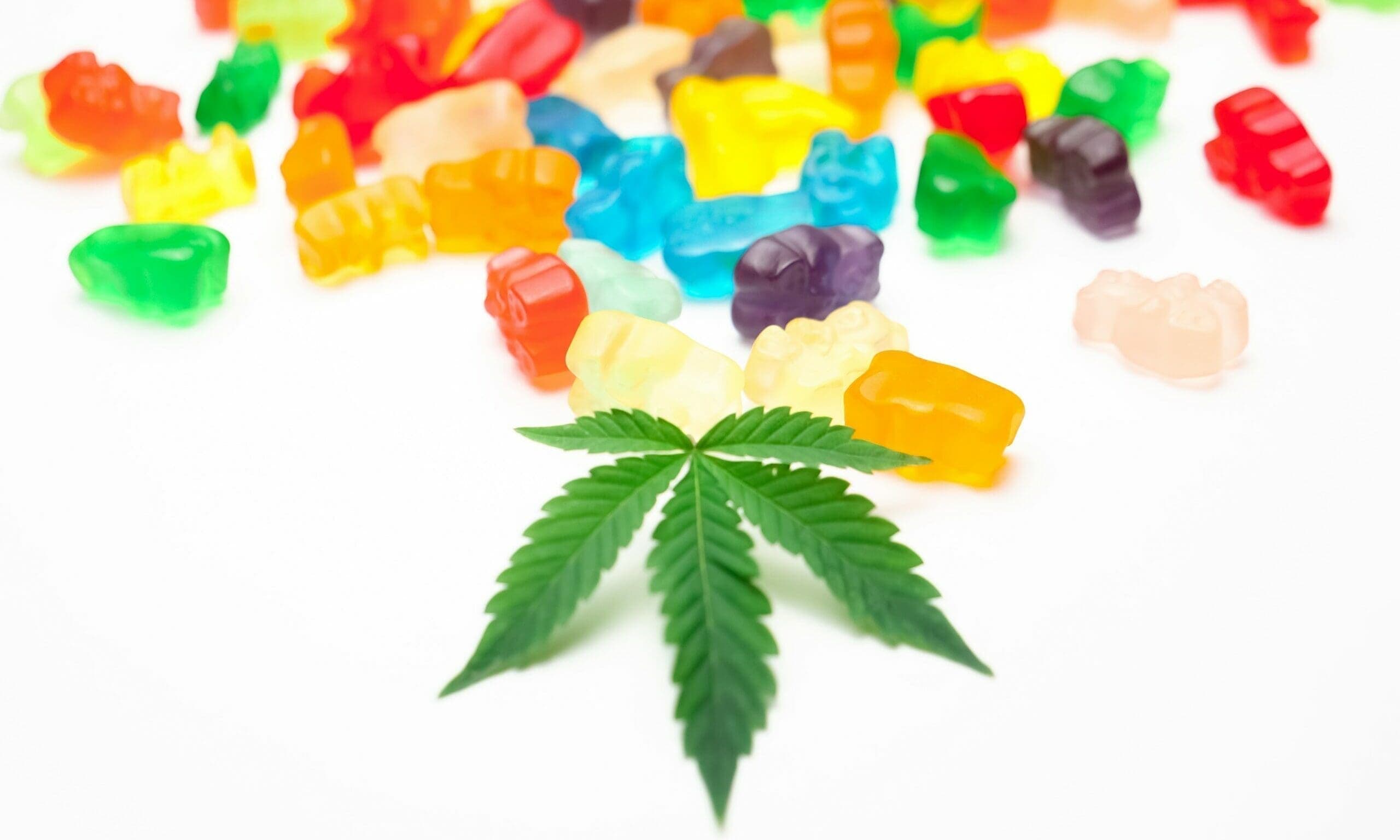 North Dakota Medical Marijuana Edibles Law Set To Take Effect - Marijuana Moment